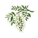 Connect China and the World